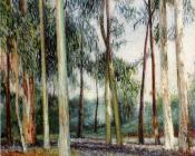 卡洛斯 费尔南德斯 伊格莱西亚 : Luzada intre eucalitos